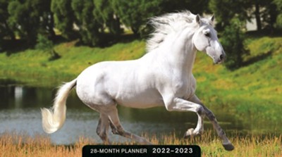 2022/2023 Daily Planner: Horses (28 Months) - DaySpring